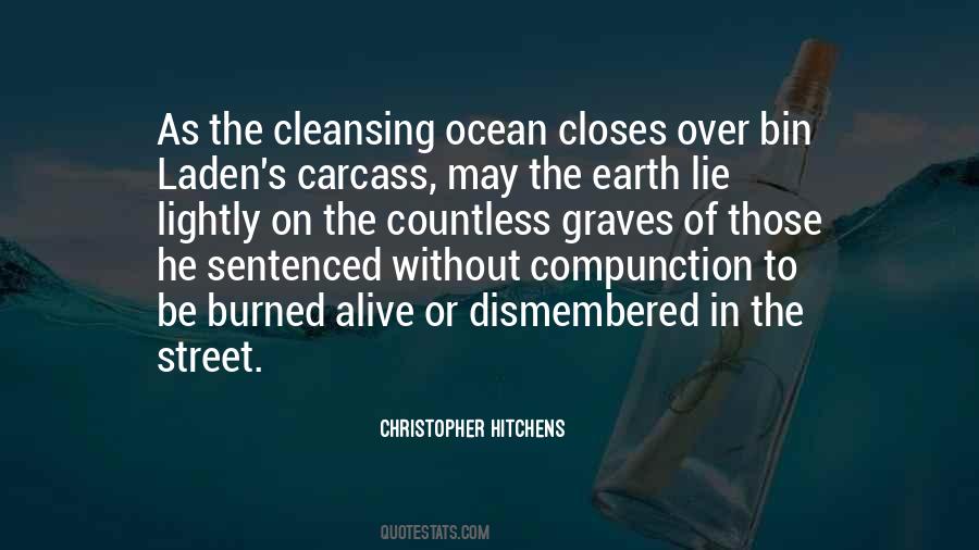 Hitchens's Quotes #1129663