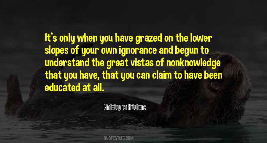 Hitchens's Quotes #28328