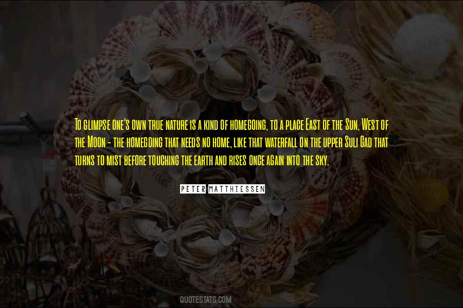 Homegoing Quotes #756934