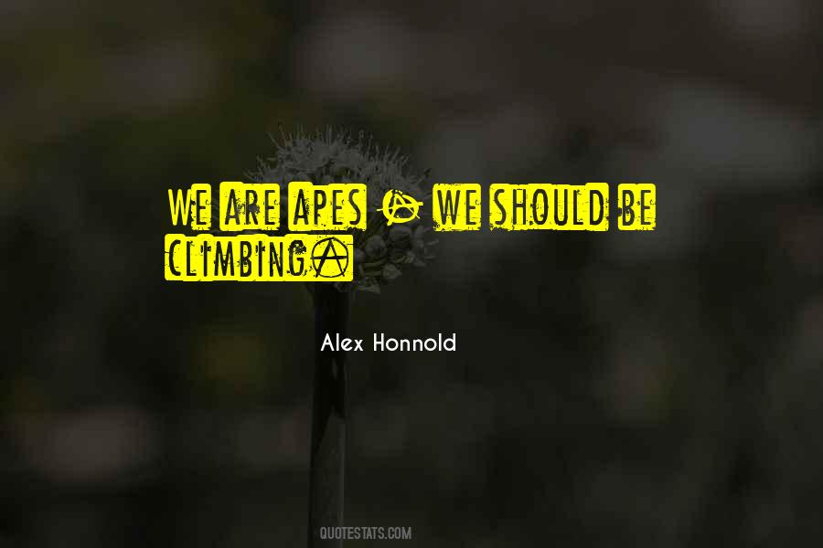 Honnold Quotes #474501