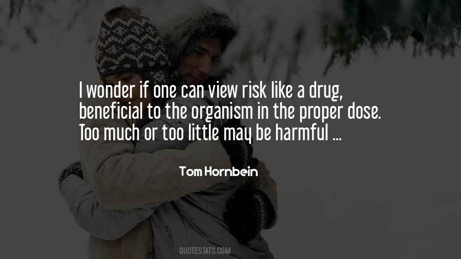 Hornbein Quotes #1176998