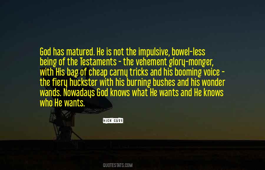 Huckster Quotes #1262520