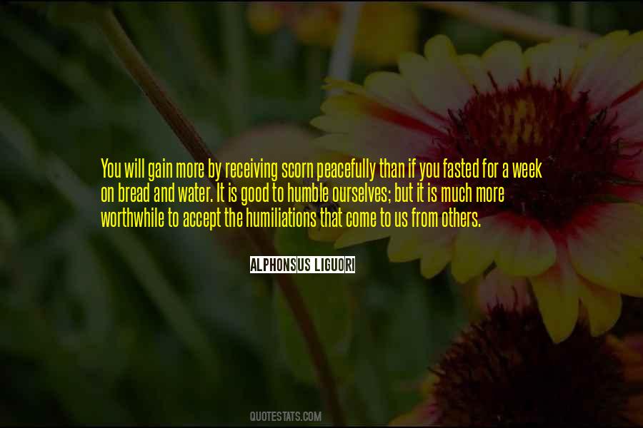 Humiliations Quotes #1322407