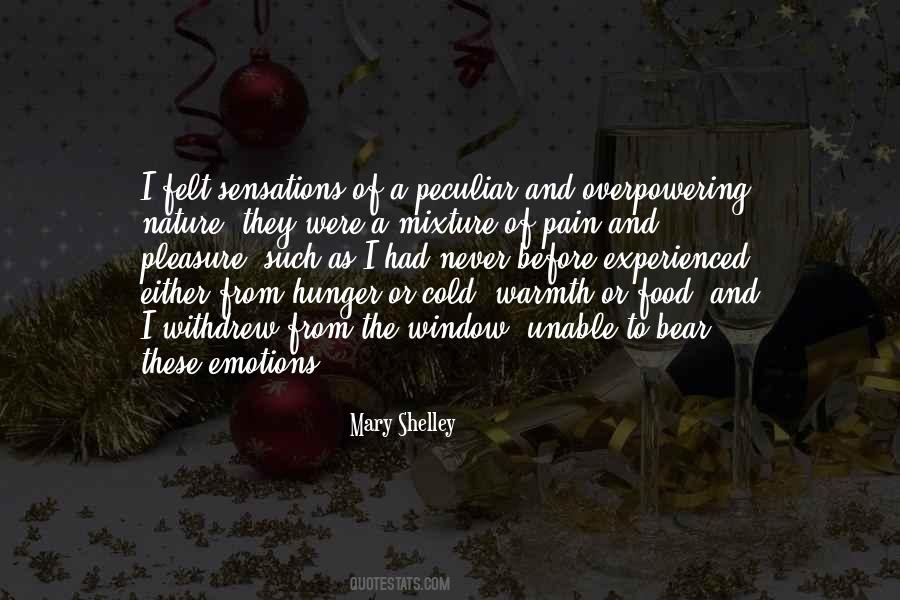 Hunger'n'pain Quotes #973664