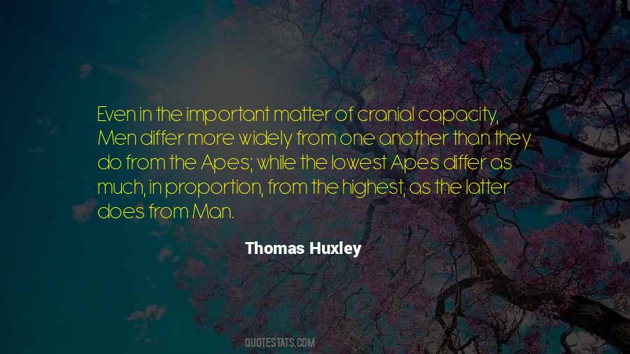 Quotes About Apes #1408250