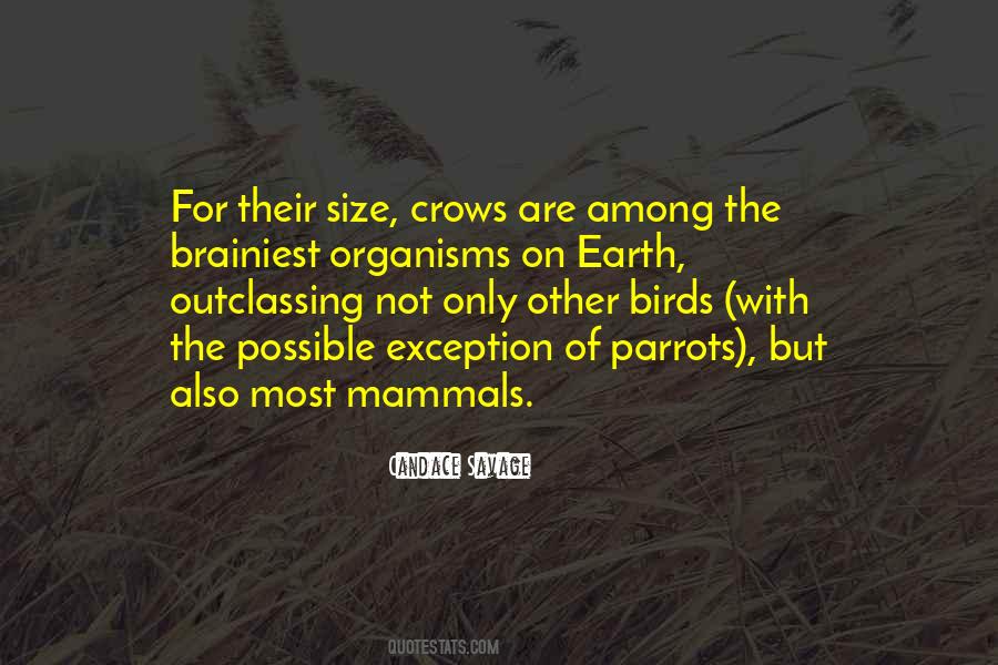 Impellent Quotes #745777