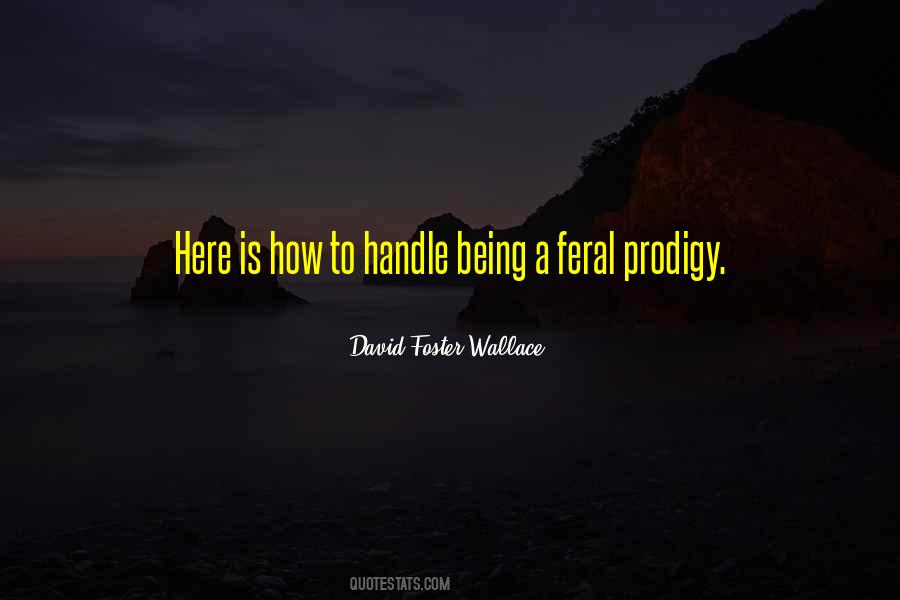 Incandenza Quotes #1207235 Incandenza Quotes #1207235