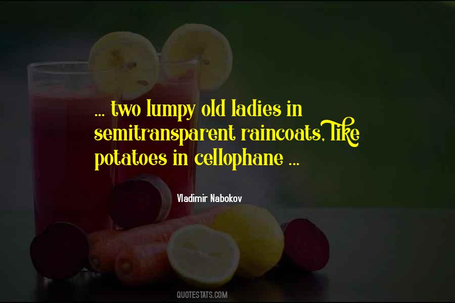 Quotes About Raincoats #521034