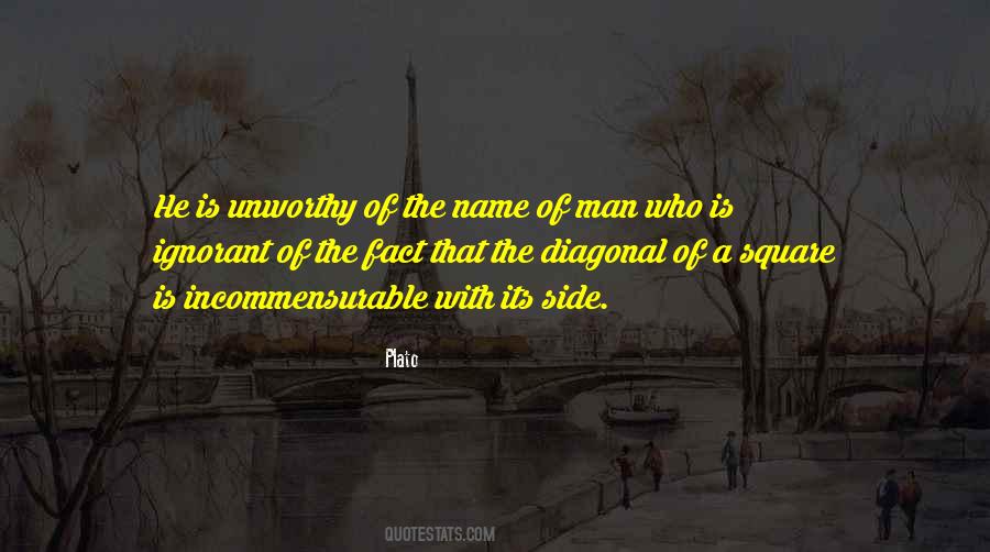 Incommensurable Quotes #887117