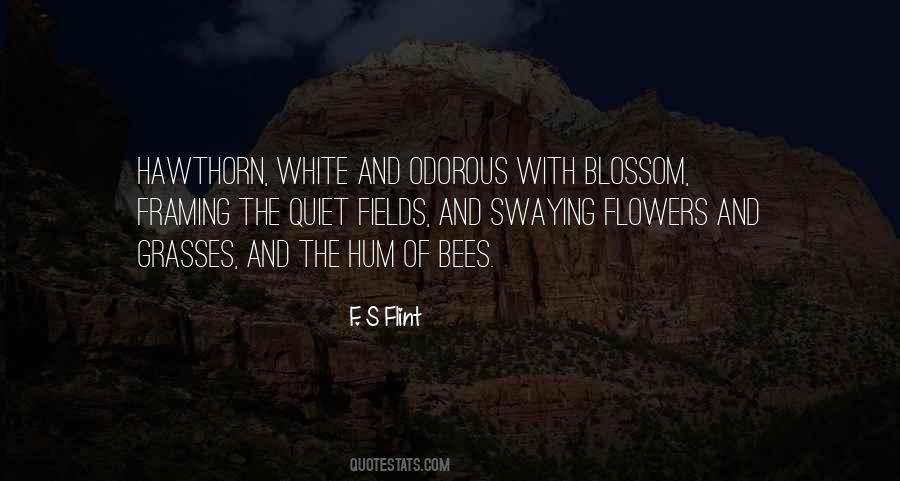Quotes About Fields Of Flowers #1457792