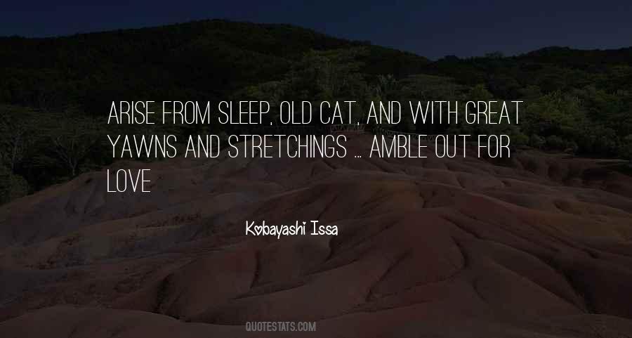 Individualize Quotes #970371 Individualize Quotes #970371