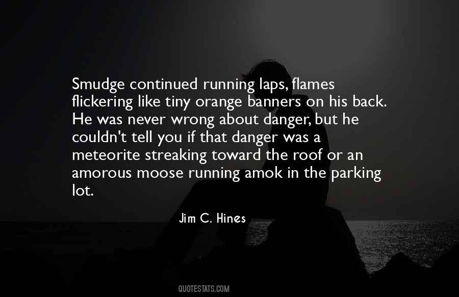 Quotes About Running From Danger #82633