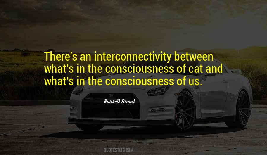 Interconnectivity Quotes #1726026