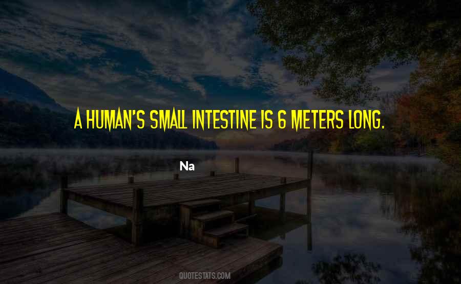 Intestine Quotes #1347432