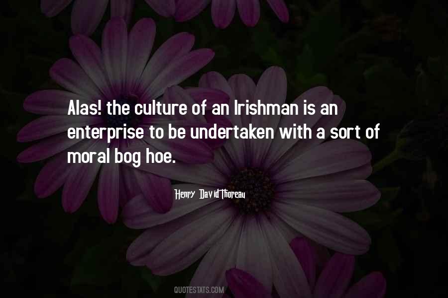 Irishman's Quotes #1068894