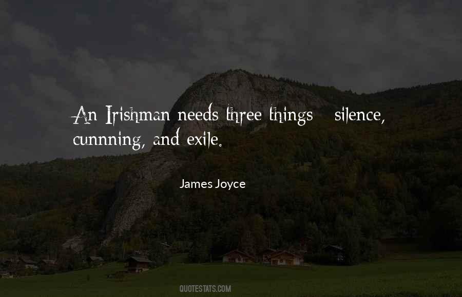 Irishman's Quotes #1717776