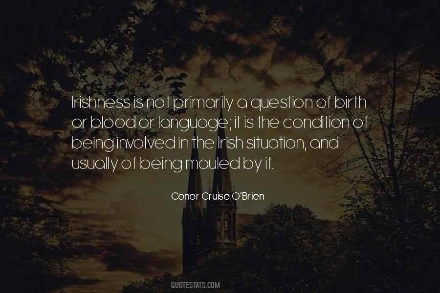 Irishness Quotes #973921