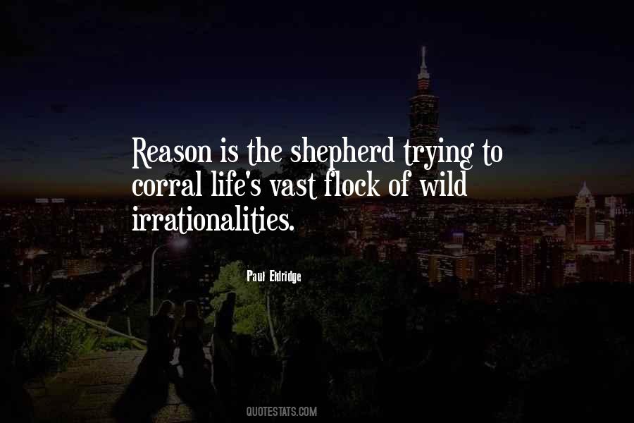 Irrationalities Quotes #408453