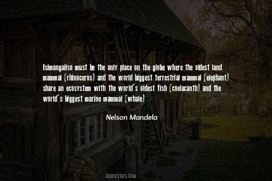 Isimangaliso Quotes #1047697