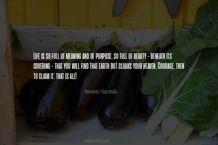 Quotes About Heaven And Life #128823