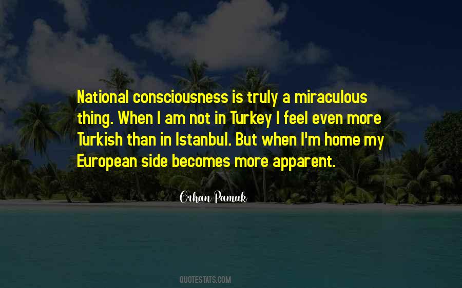 Istanbul's Quotes #1754968