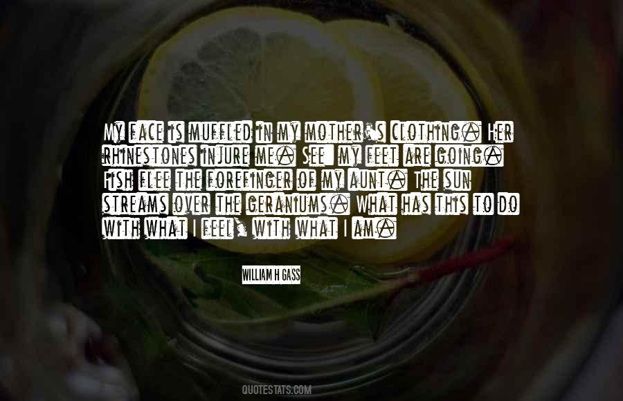 Quotes About The Sun In Your Face #124575