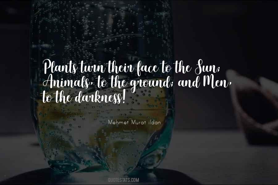 Quotes About The Sun In Your Face #94139
