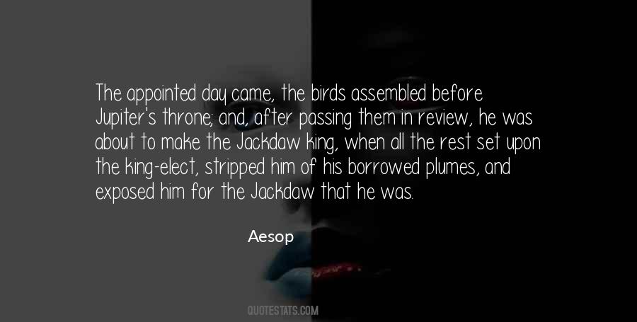 Jackdaw Quotes #1836346