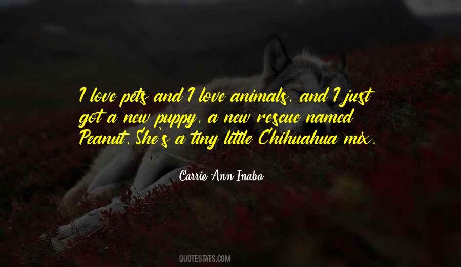 Quotes About Pets Love #1439008