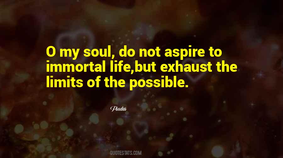 Quotes About Going Beyond Your Limits #53461