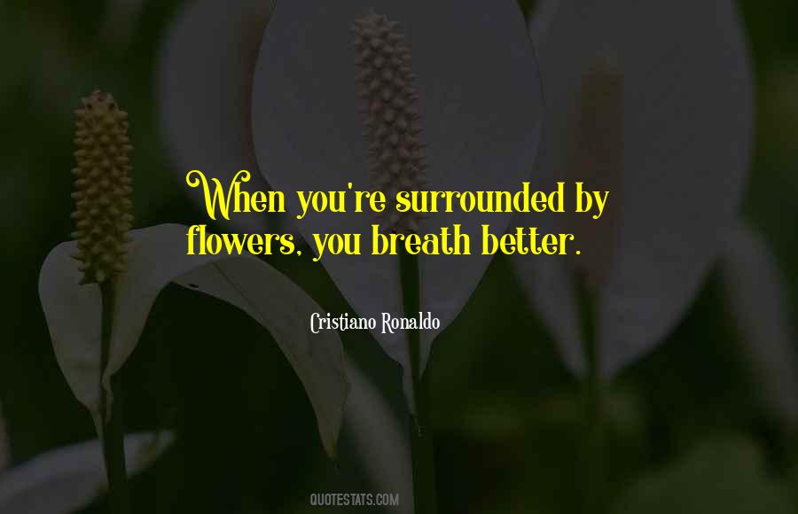 Junebug Quotes #587906