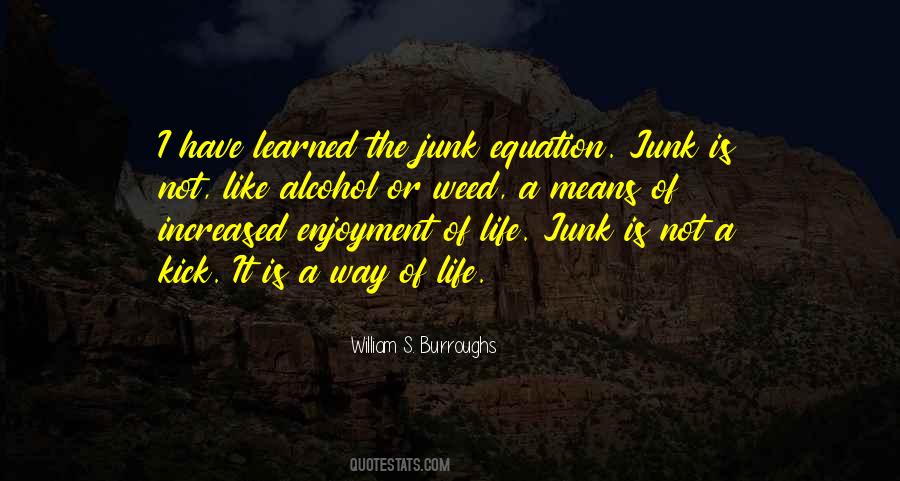 Junky's Quotes #1718917