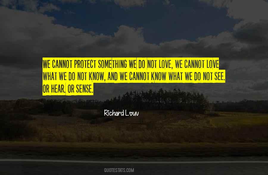 Quotes About What We Cannot See #909229