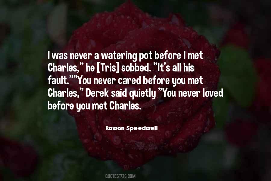 Quotes About I Never Loved You #720990