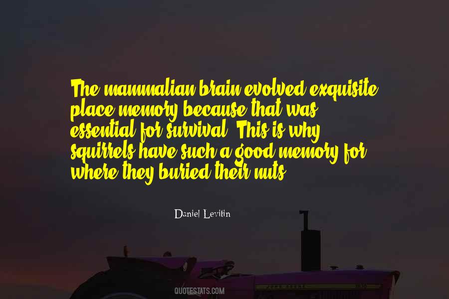 Kann Quotes #1051967