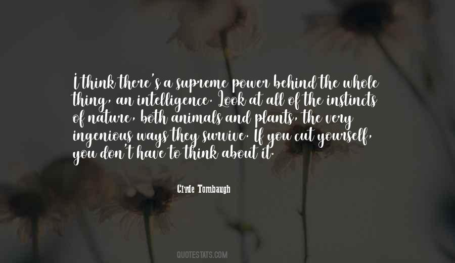 Quotes About Animals Intelligence #1688429