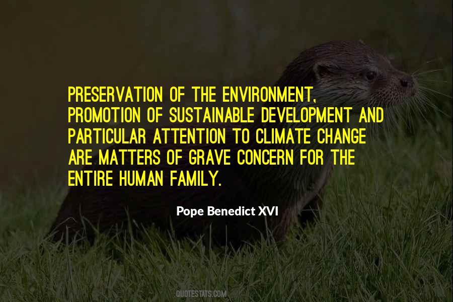 Quotes About Concern For The Environment #836007