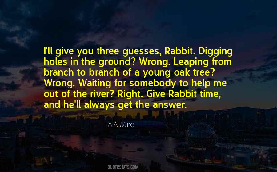 Quotes About Digging Holes #209867