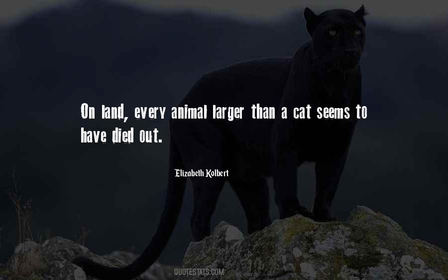 Kolbert Quotes #911215