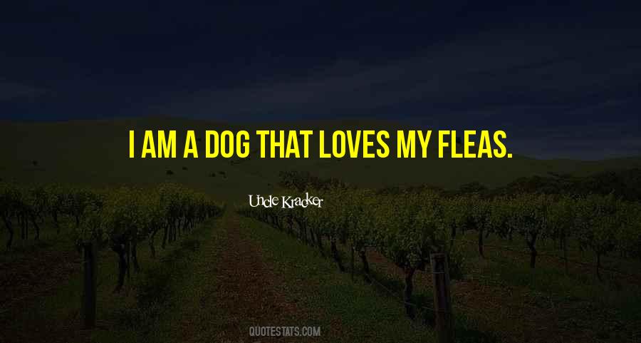Kracker Quotes #373193