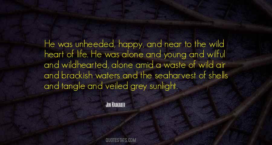Krakauer's Quotes #411869