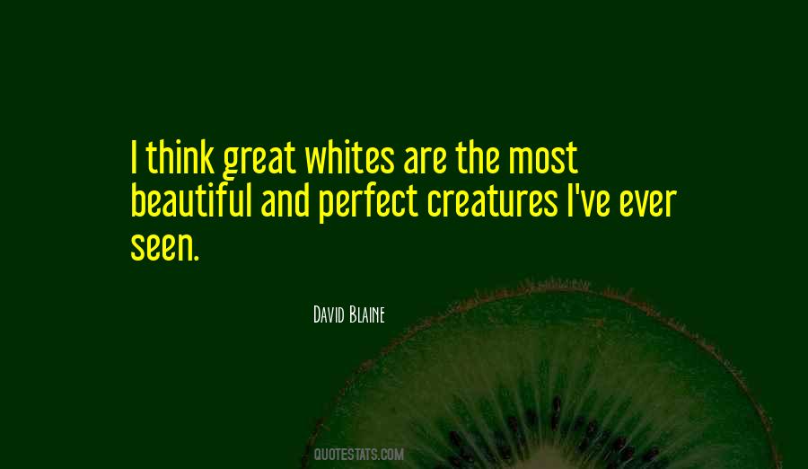 Quotes About Beautiful Creatures #1037381