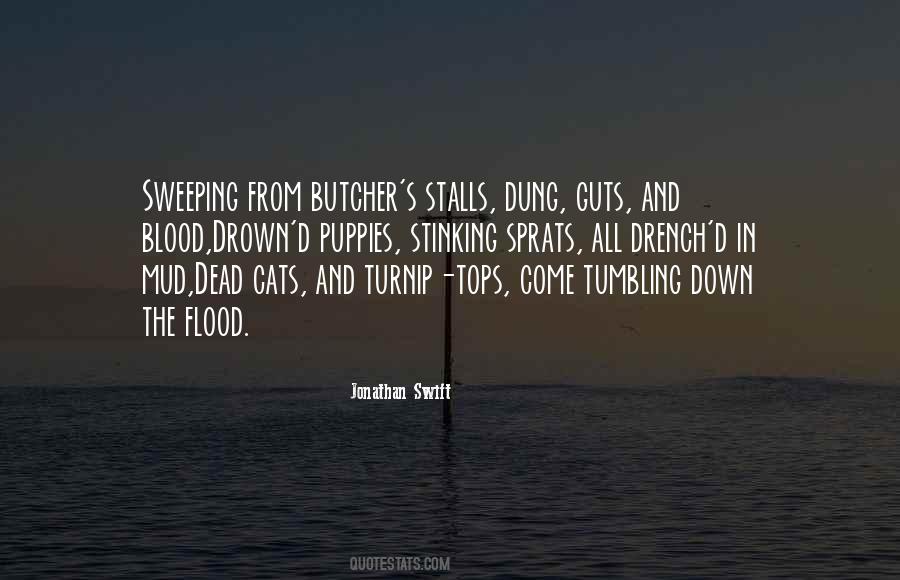 Ladyship's Quotes #395420