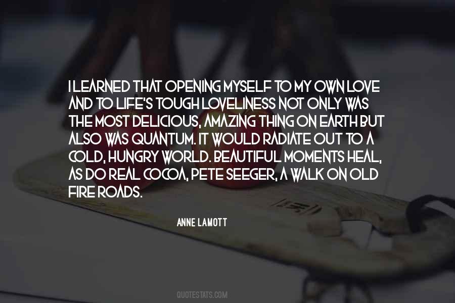 Lamott's Quotes #1369307