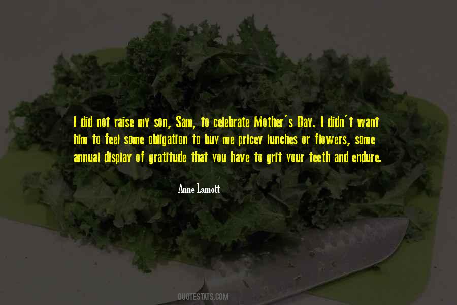 Lamott's Quotes #411046