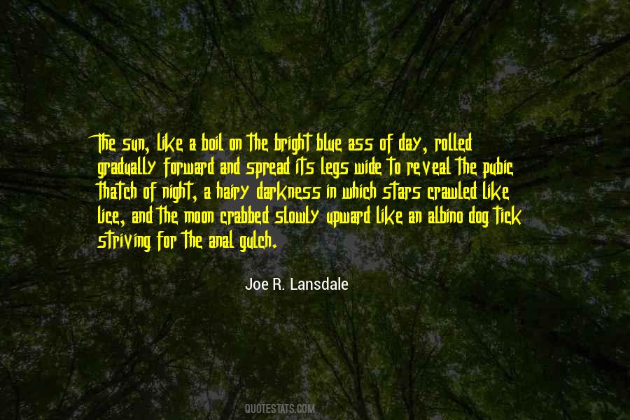 Lansdale Quotes #12494