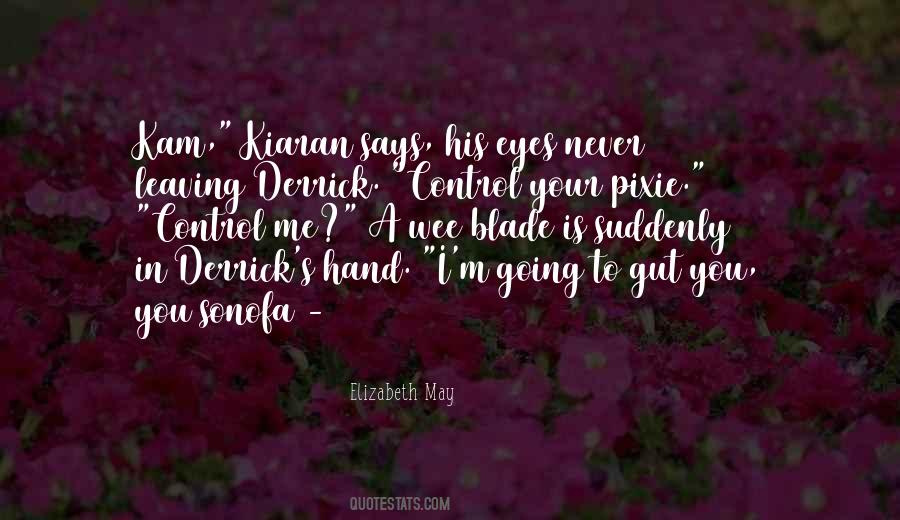 Laquers Quotes #1532817