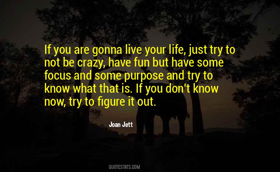 Quotes About Just Live Your Life #744347