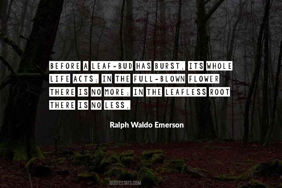 Leafless Quotes #841088