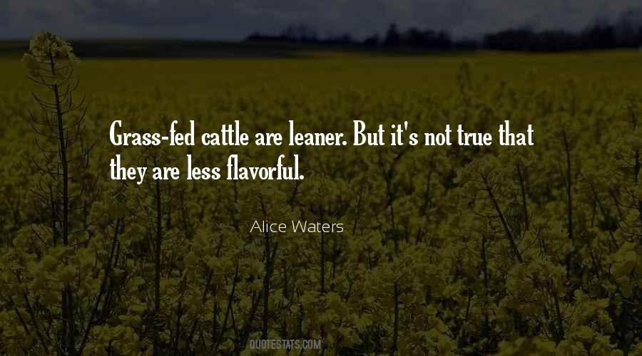 Leaner Quotes #82441